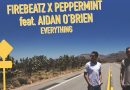 Firebeatz x Peppermint feat. Aidan OBrien