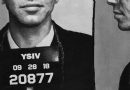ogic ysiv