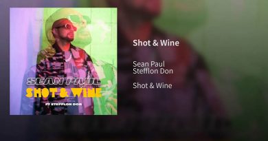 shot and wine sean paul
