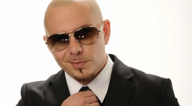pitbull net worth