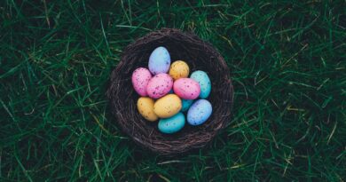 Easter Eggs on brown nest