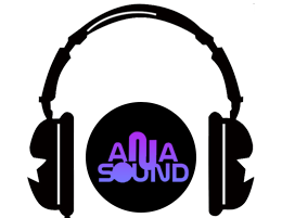 AnaSound logo producator