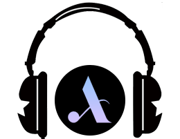 AndraRecords logo producator