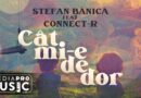Ştefan Bănică
